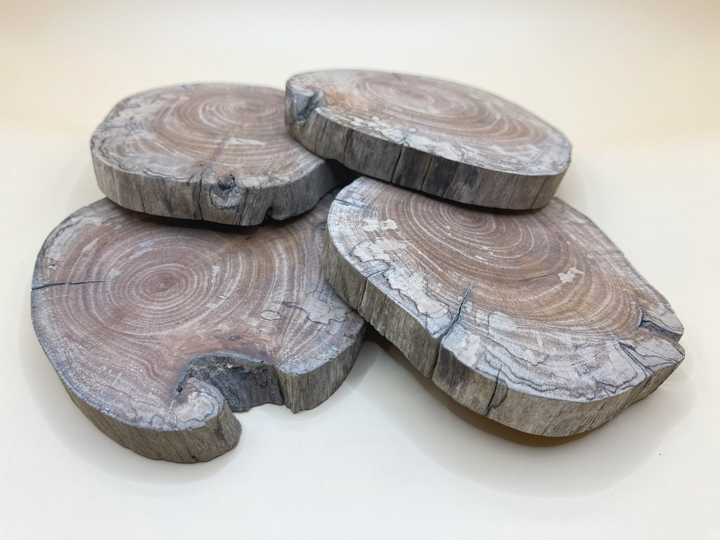The Wave Coasters